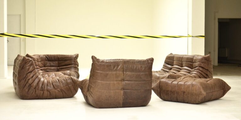 leather regulations bisphenol