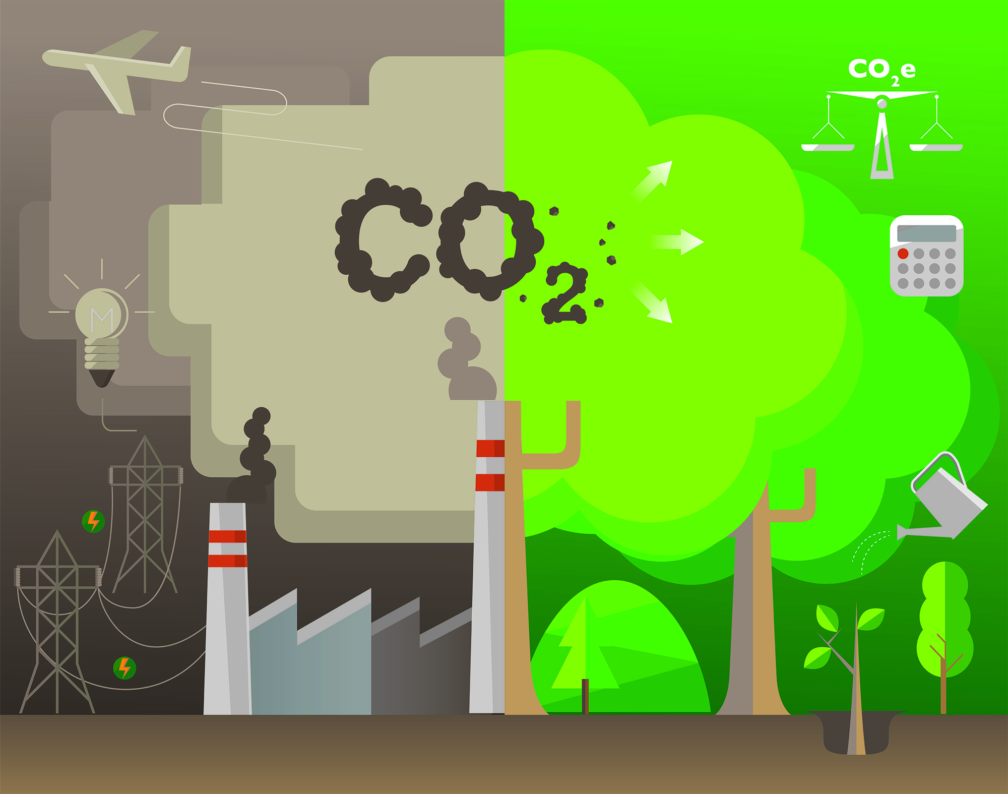 C14 Carbon footprint